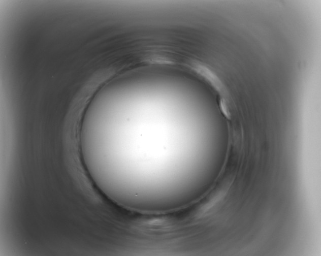 X0000088640433200706011206