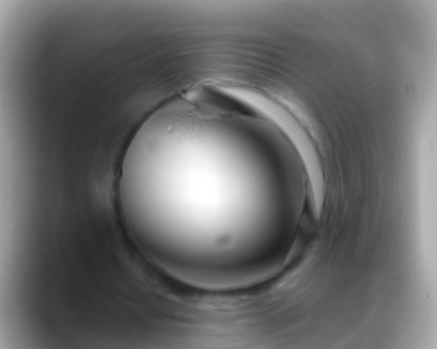 X0000088640434200706011206