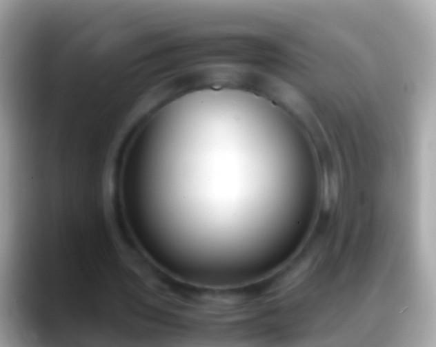X0000088640435200706011206