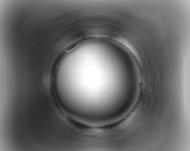 X0000088640437200706011206