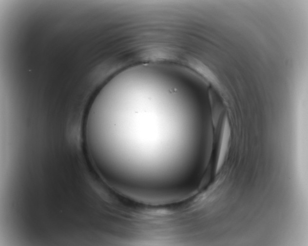 X0000088640438200706011206