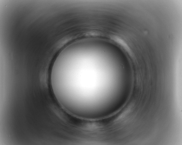X0000088640439200706011206