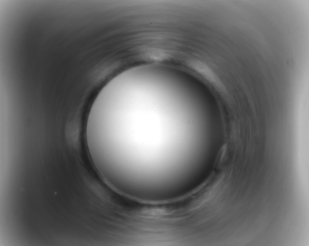 X0000088640440200706011206
