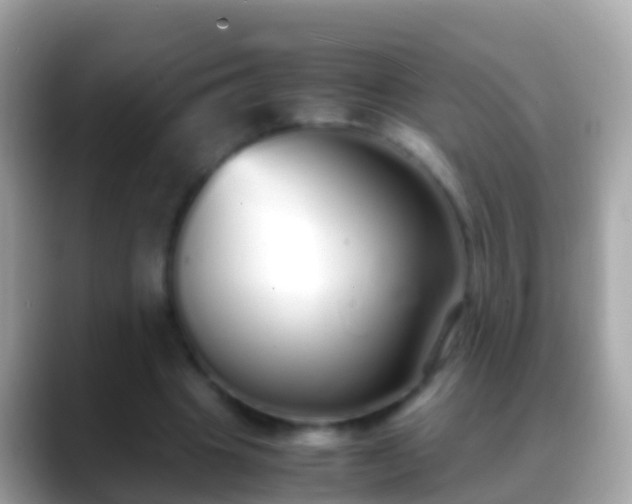 X0000088640441200706011206