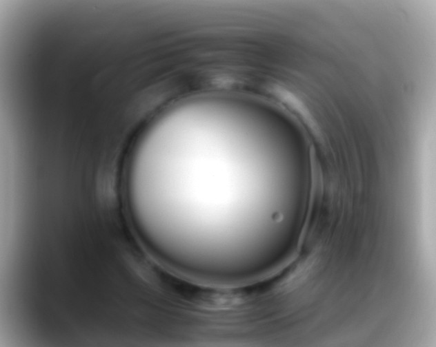 X0000088640443200706011206