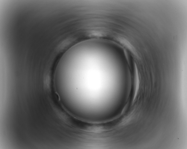 X0000088640444200706011206