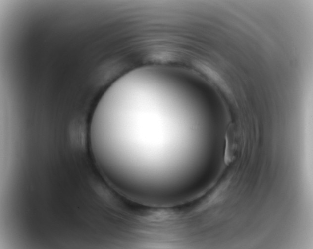 X0000088640446200706011206
