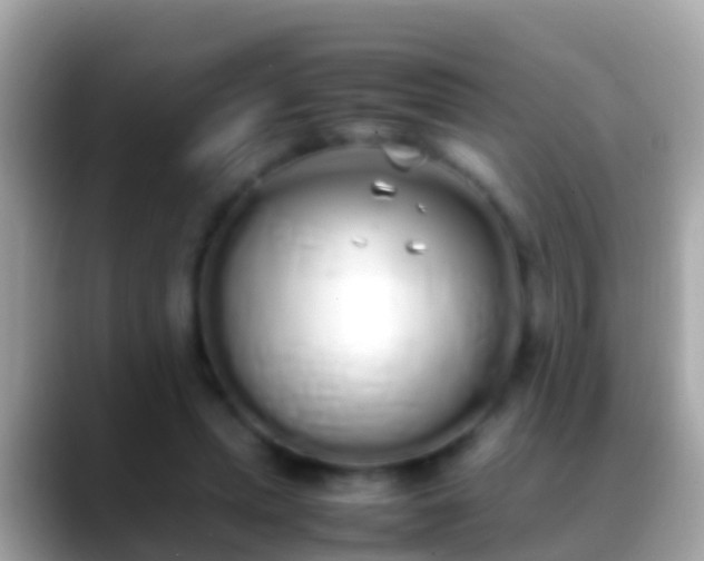 X0000088640447200706011206