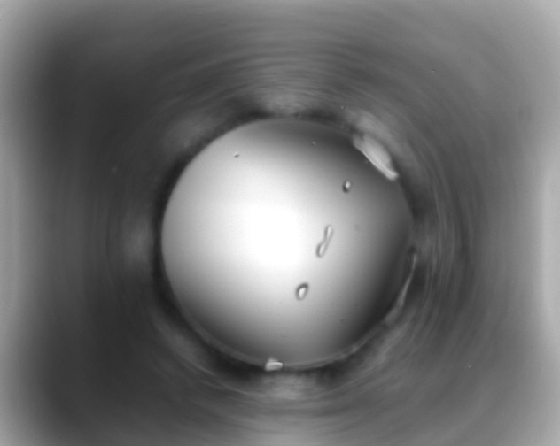 X0000088640448200706011206