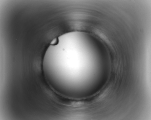 X0000088640450200706011206