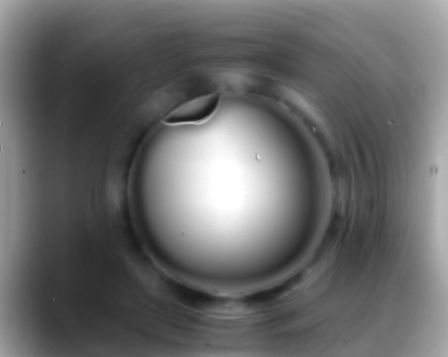 X0000088640451200706011206