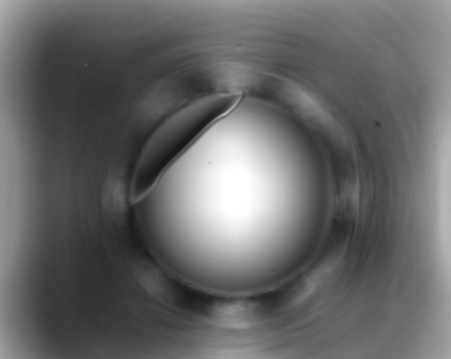 X0000088640452200706011206