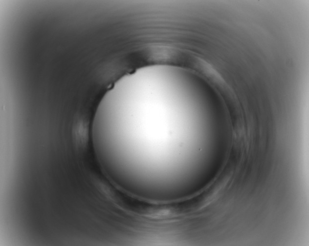 X0000088640454200706011206