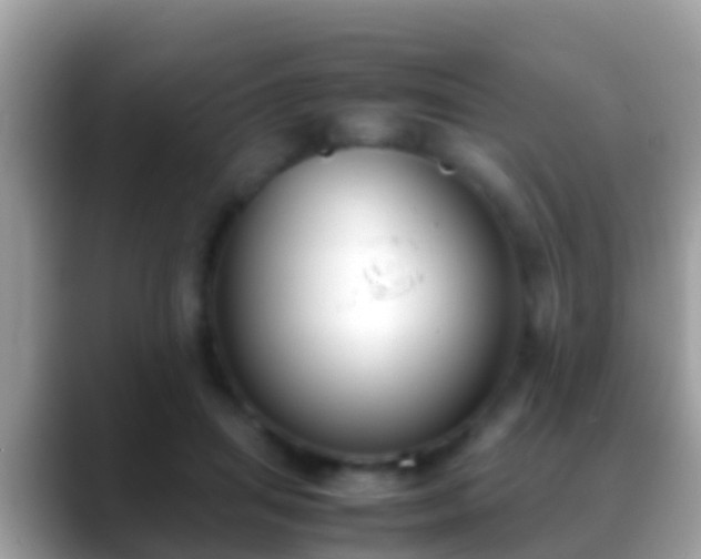 X0000088640455200706011206