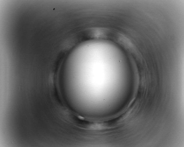 X0000088640461200706011206