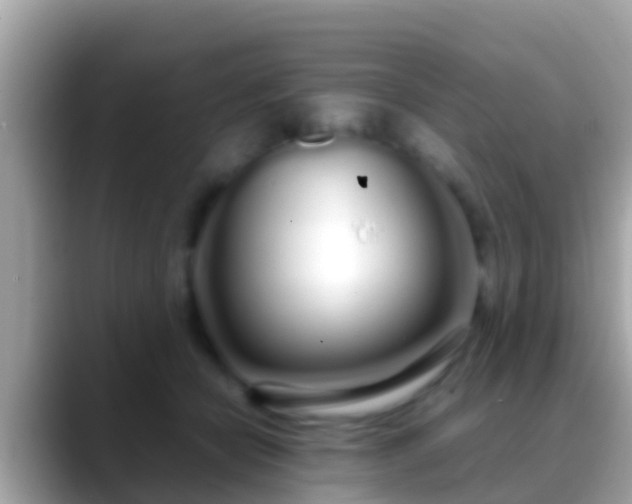 X0000088640462200706011206