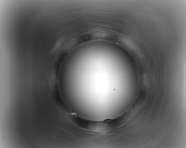 X0000088640463200706011206