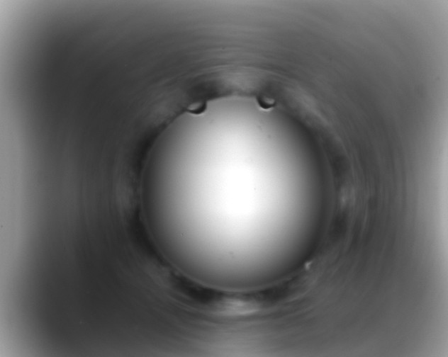 X0000088640464200706011206