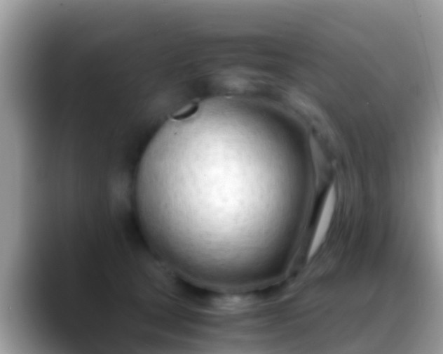 X0000088640465200706011206