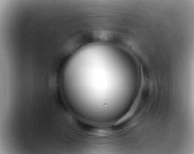 X0000088640466200706011206