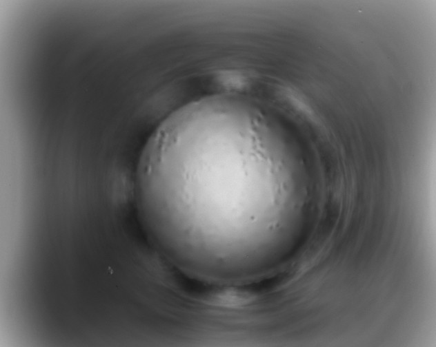 X0000088640467200706011206