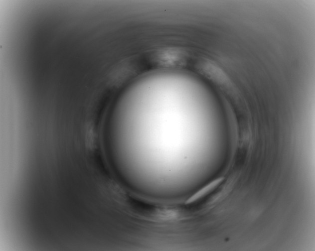 X0000088640469200706011206