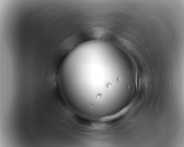 X0000088640470200706011206