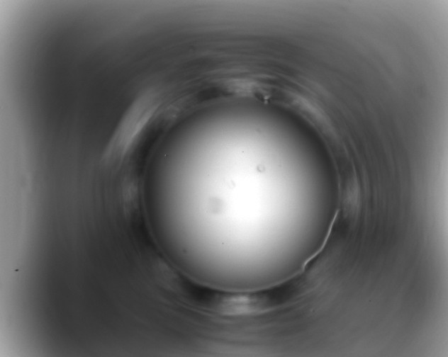 X0000088640473200706011206