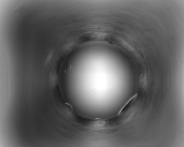 X0000088640474200706011206