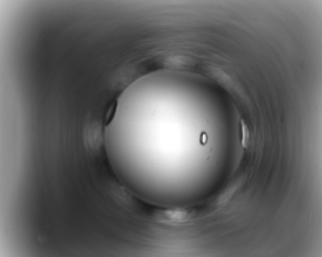 X0000088640478200706011206