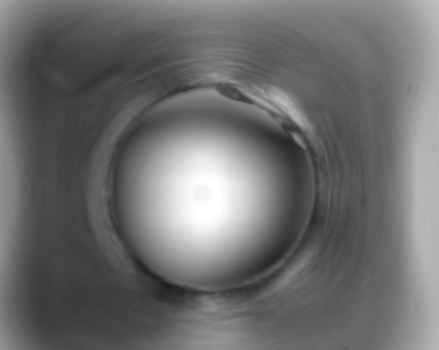 X0000088640481200706011206