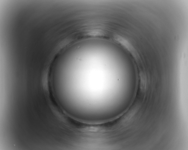 X0000088640482200706011206