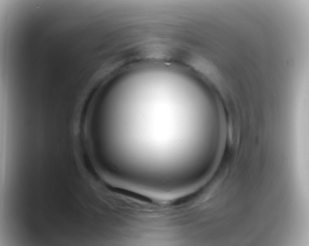 X0000088640483200706011206