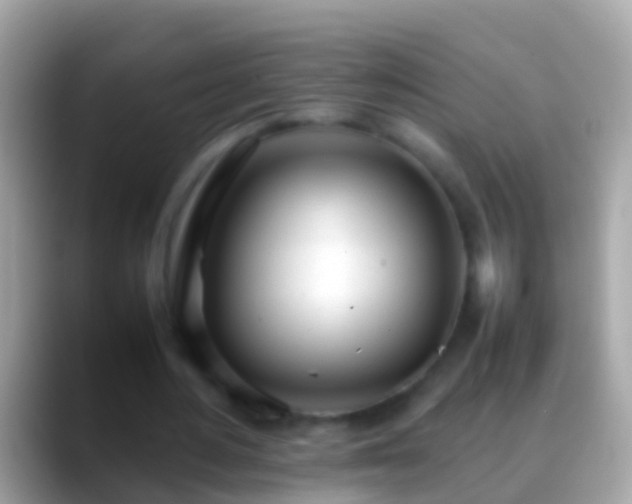 X0000088640484200706011206
