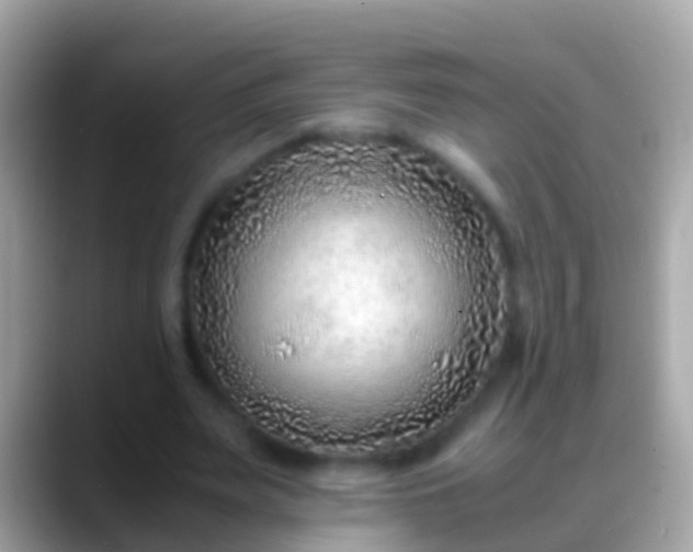 X0000088640487200706011205