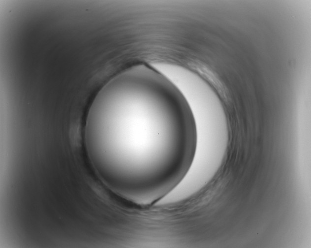 X0000088640489200706011205