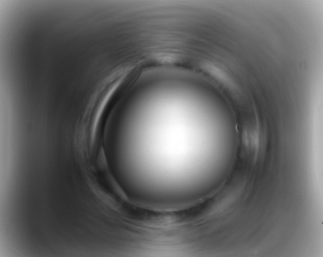 X0000088640492200706011205