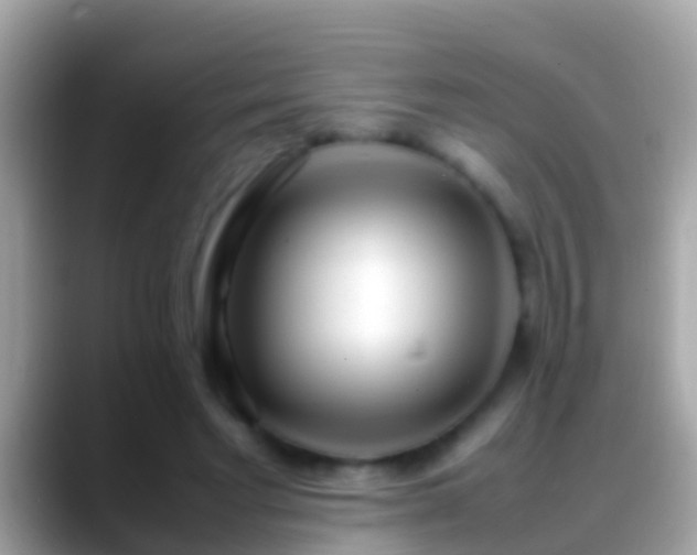 X0000088640493200706011205