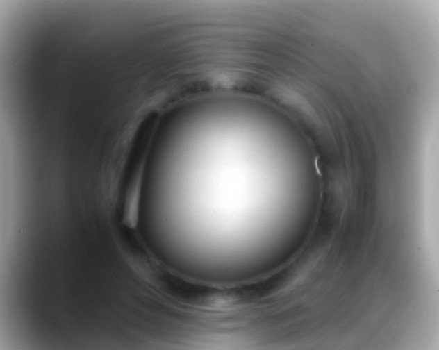 X0000088640496200706011205