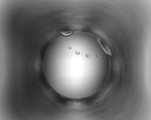X0000088640498200706011205