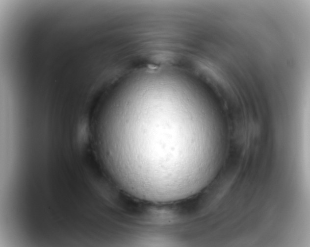 X0000088640502200706011205
