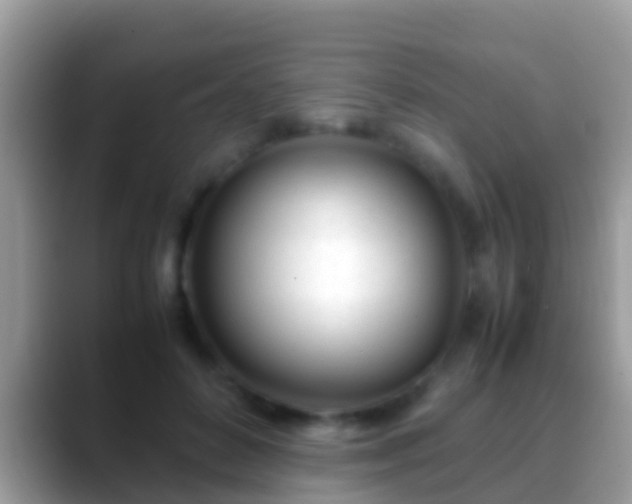 X0000088640504200706011205