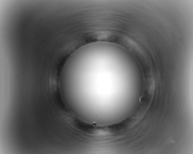 X0000088640510200706011205