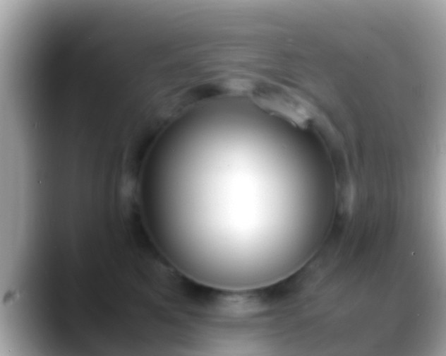 X0000088640521200706011205