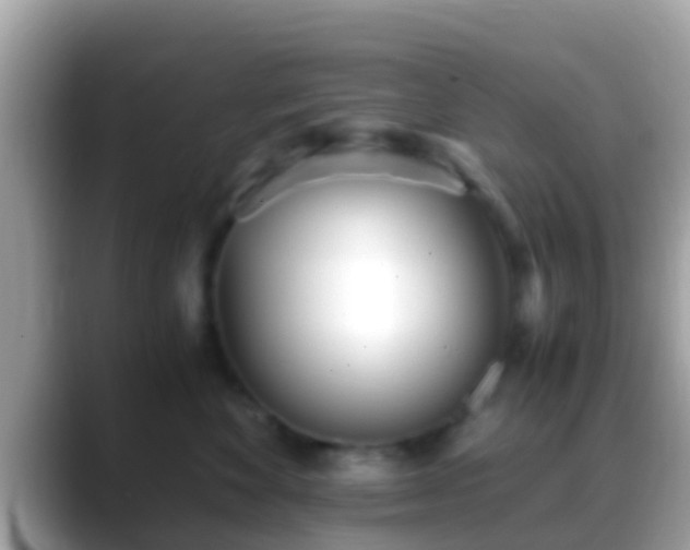 X0000088640524200706011205
