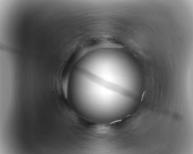 X0000088640528200706011205