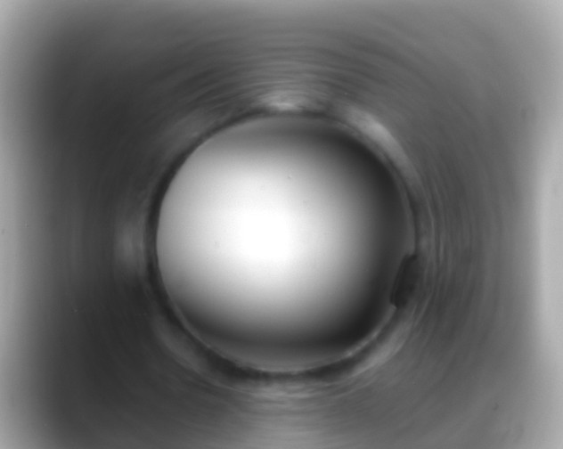 X0000088640530200706011204