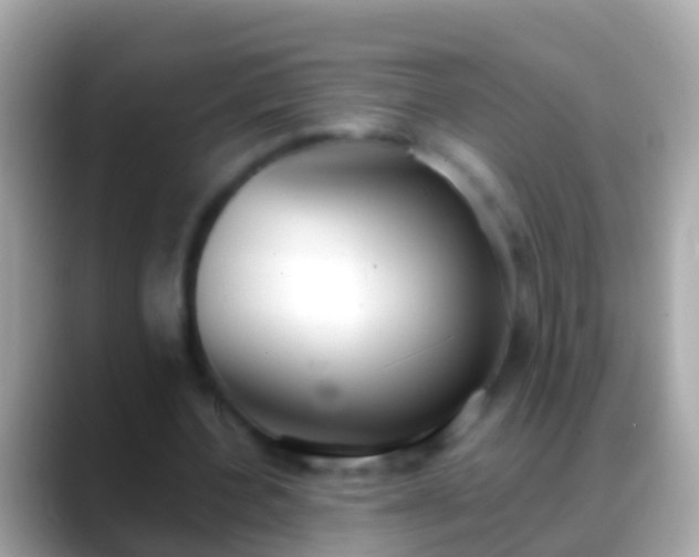 X0000088640532200706011204