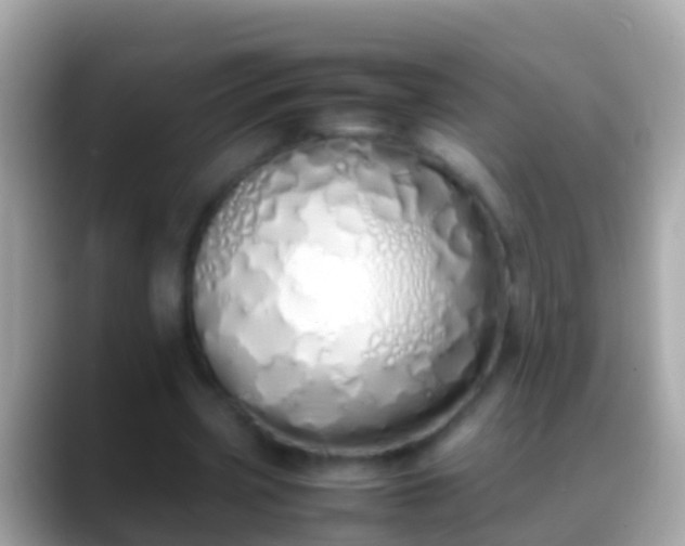 X0000088640533200706011204
