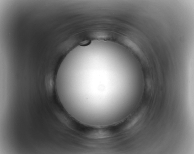 X0000088640541200706011205